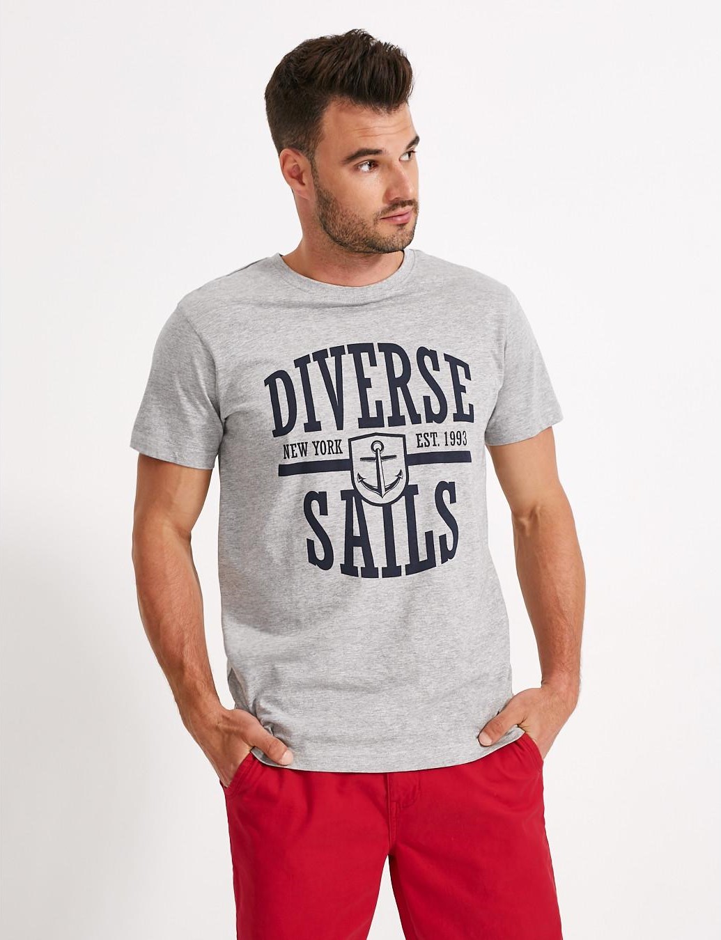 Мужская футболка стандартная с надписью Diverse Sails серая меланжевая