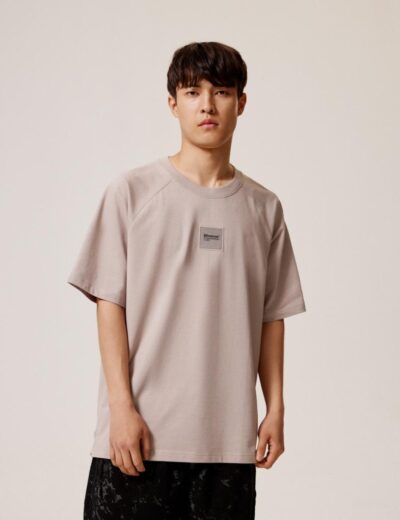 Артикул: 10044528 Чоловіча футболка oversize DEXT RAGS сіра