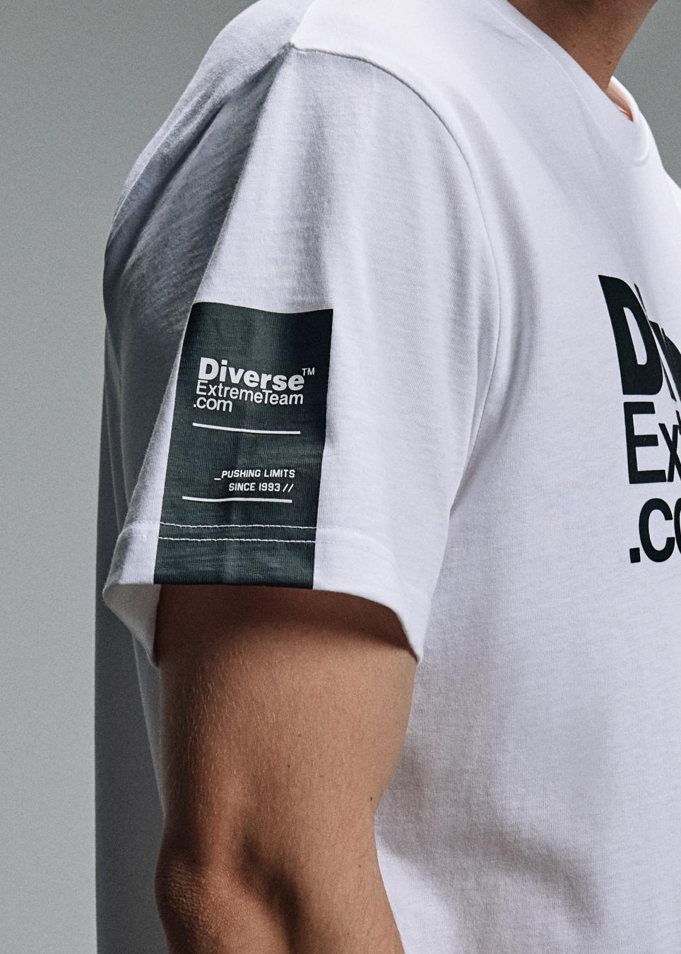 Футболка мужская DEXT LOGO 245 regular fit белая — изображение 2