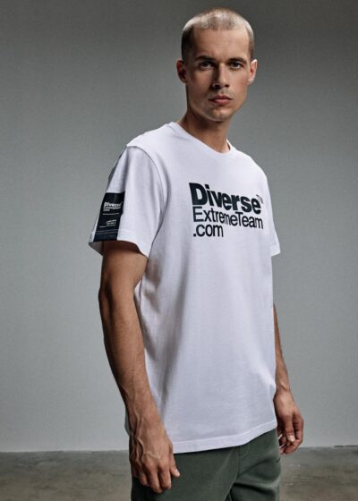 Футболка мужская DEXT LOGO 245 regular fit белая