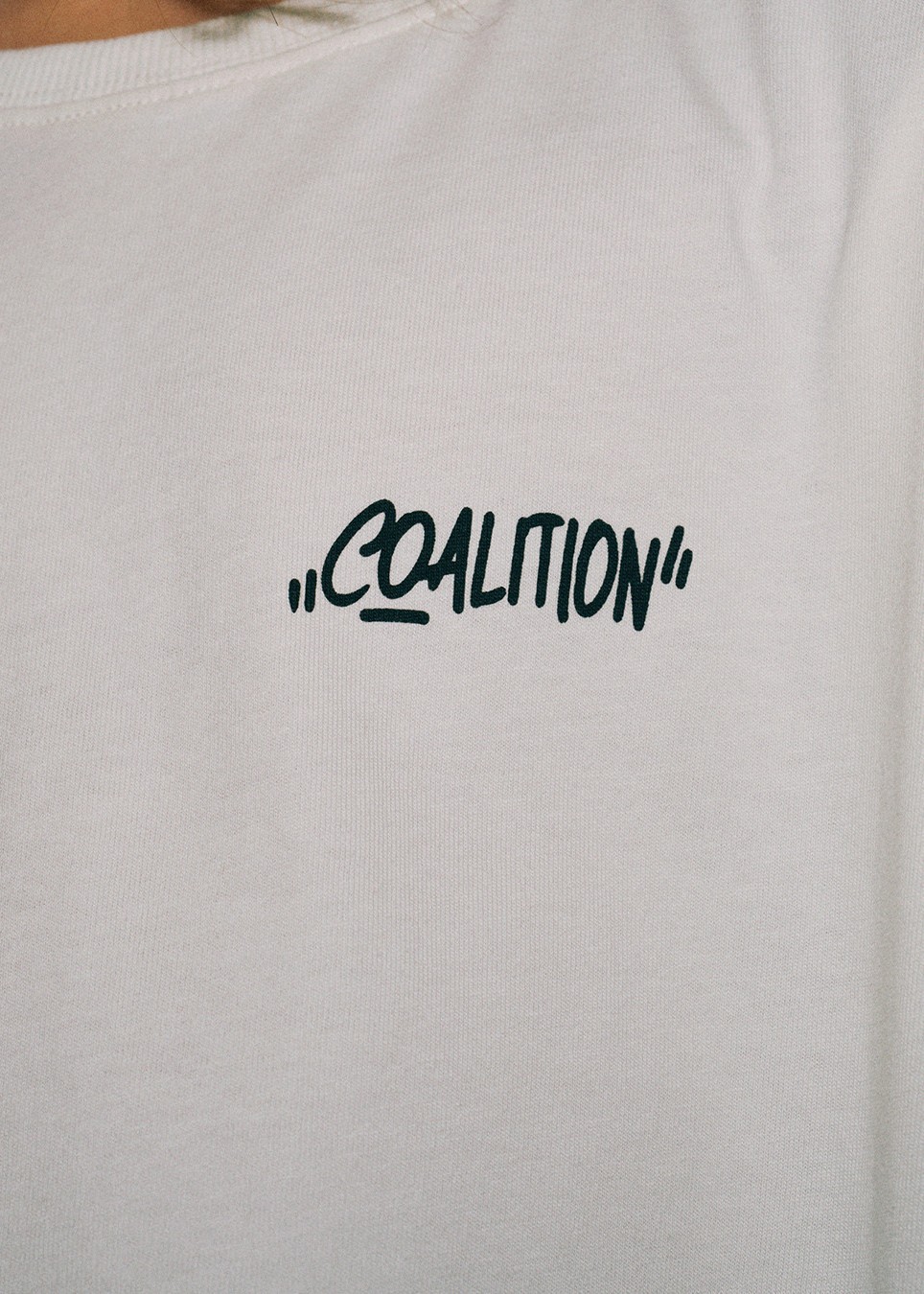 Футболка мужская Coalition T SK8 04 молочная — изображение 8