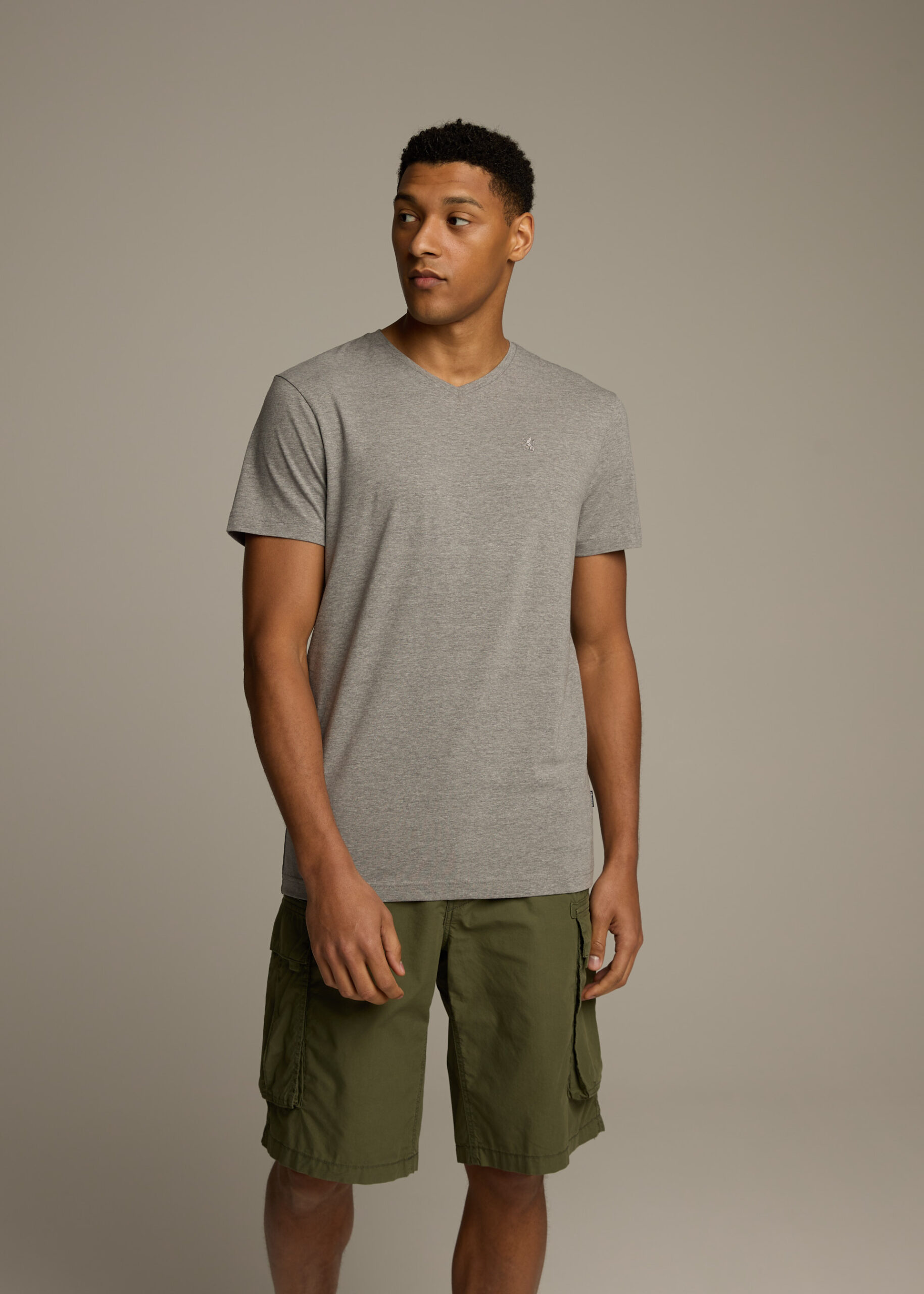 Футболка V NECK 253 мужская с v-образным вырезом серый меланж