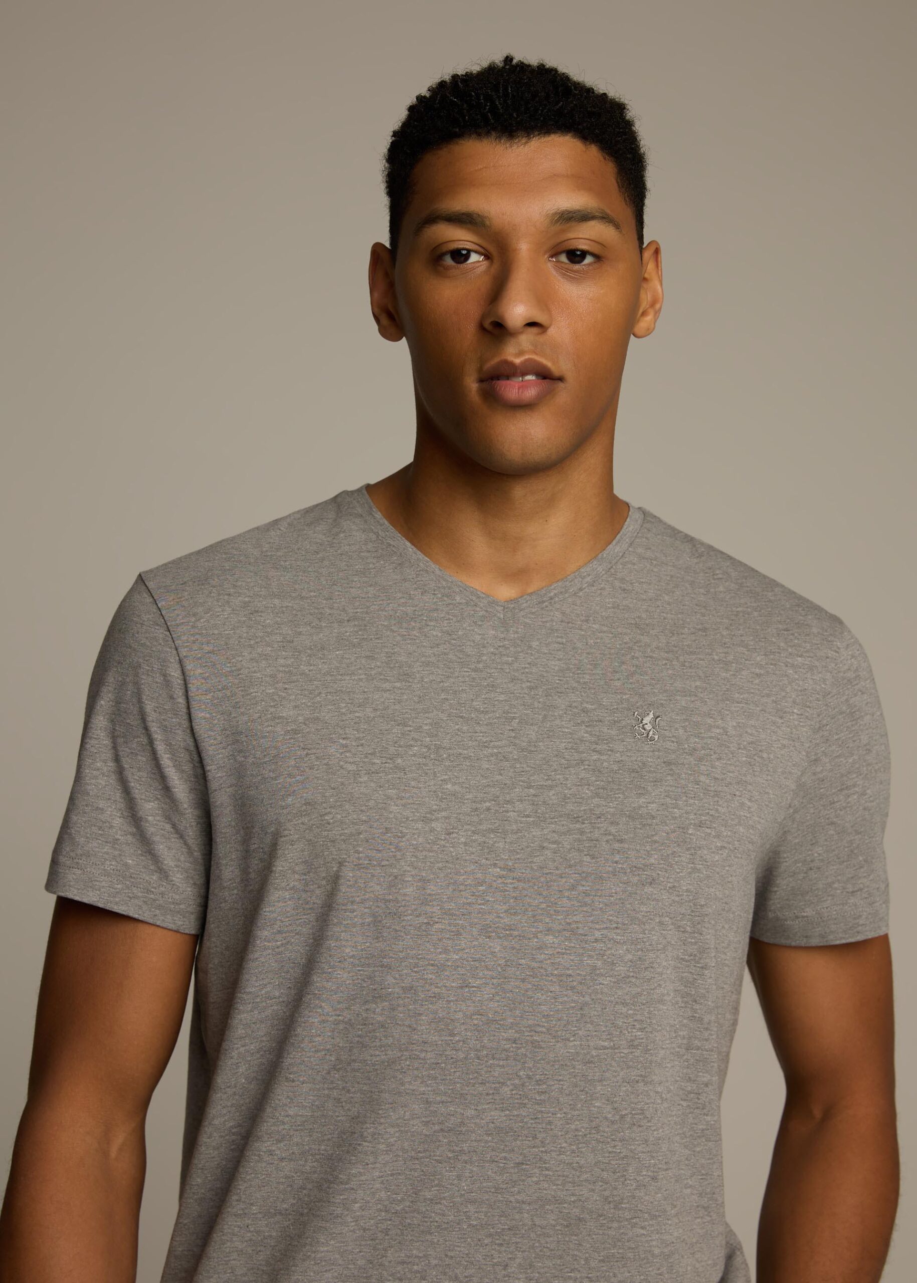 Футболка V NECK 253 мужская с v-образным вырезом серый меланж — изображение 2